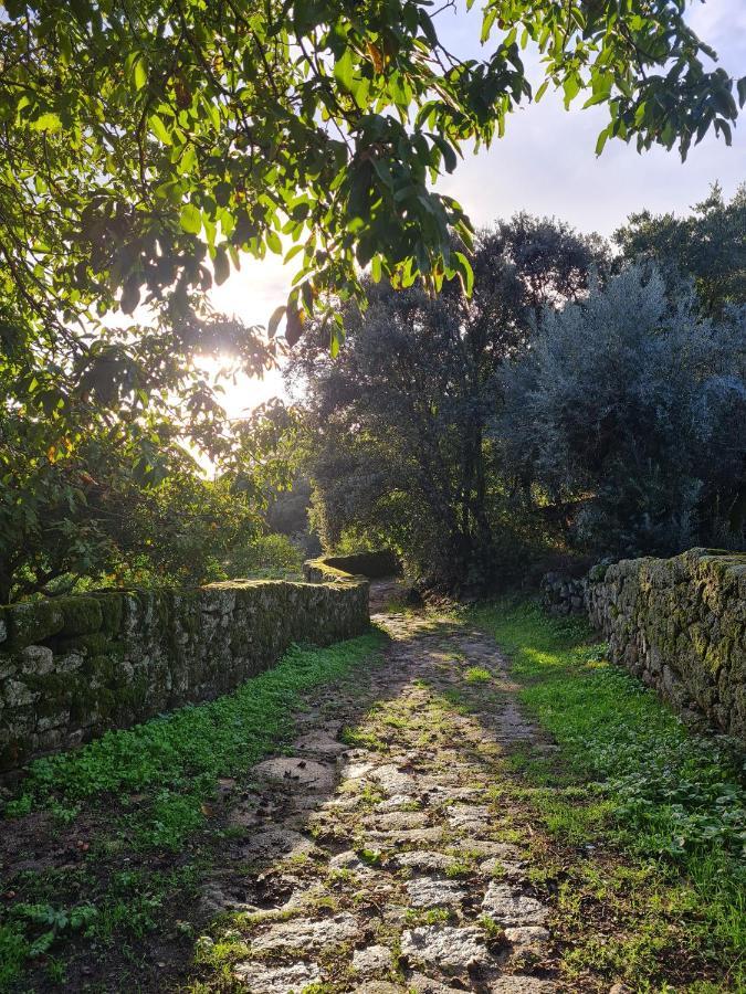Quinta De Sao Pedro De Vir-A-Corca Em Monsanto Bed & Breakfast エクステリア 写真