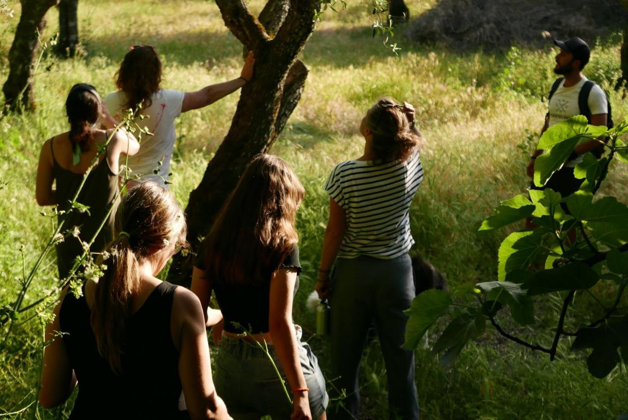 Quinta De Sao Pedro De Vir-A-Corca Em Monsanto Bed & Breakfast エクステリア 写真