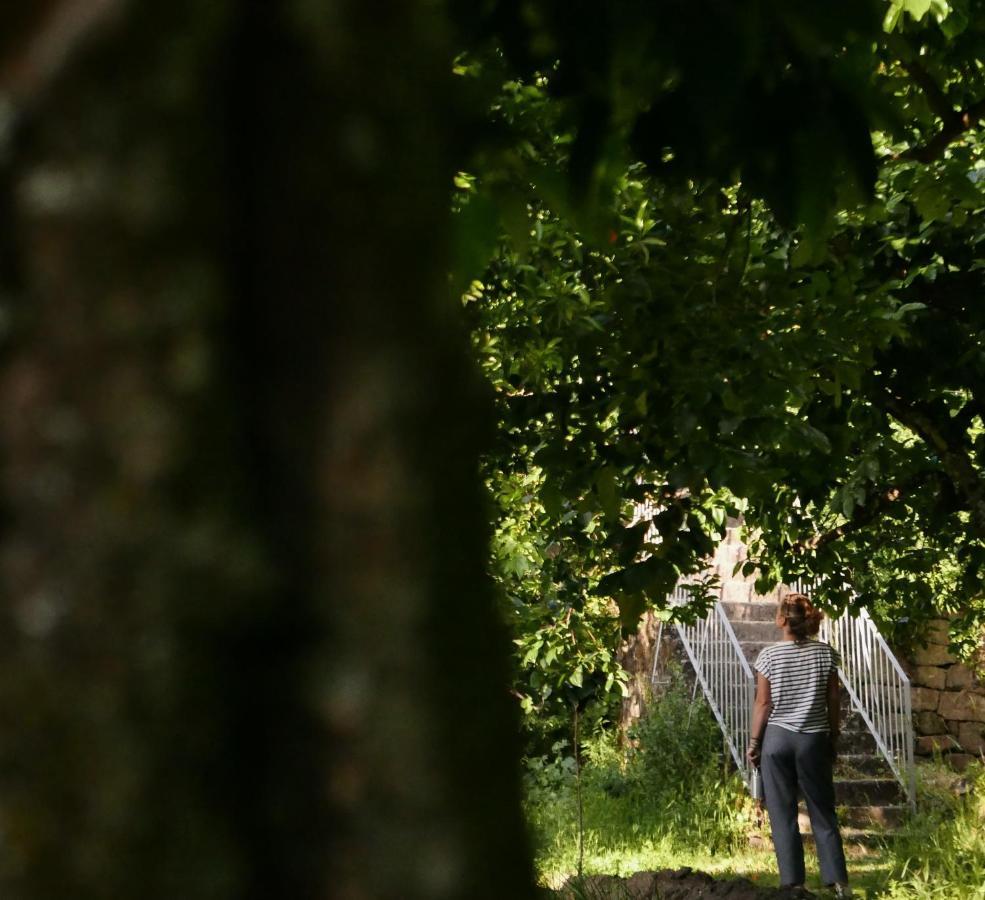 Quinta De Sao Pedro De Vir-A-Corca Em Monsanto Bed & Breakfast エクステリア 写真