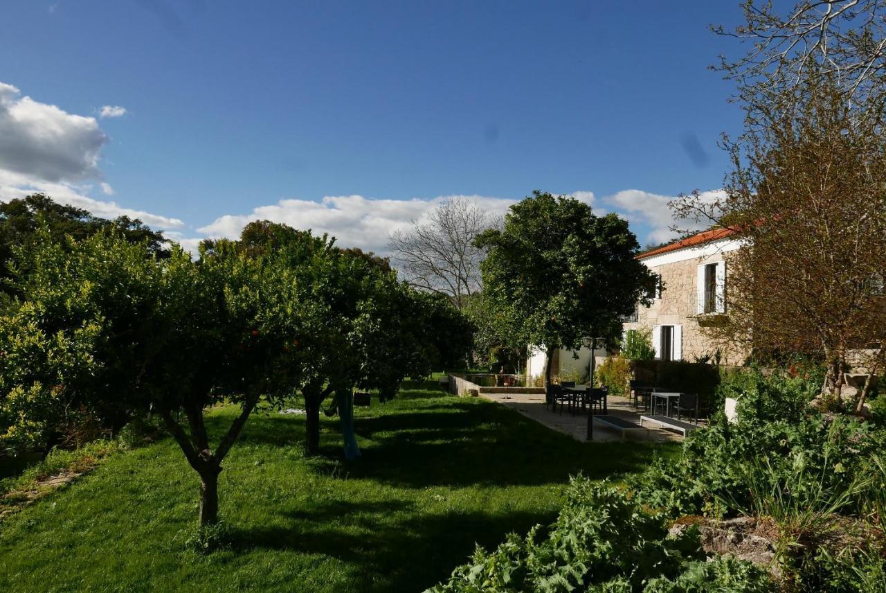 Quinta De Sao Pedro De Vir-A-Corca Em Monsanto Bed & Breakfast エクステリア 写真