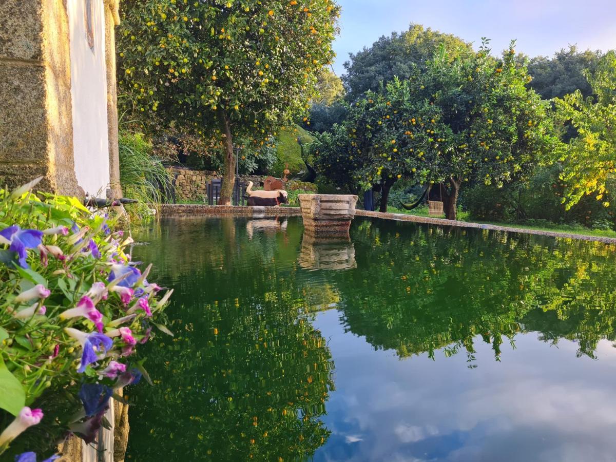 Quinta De Sao Pedro De Vir-A-Corca Em Monsanto Bed & Breakfast エクステリア 写真