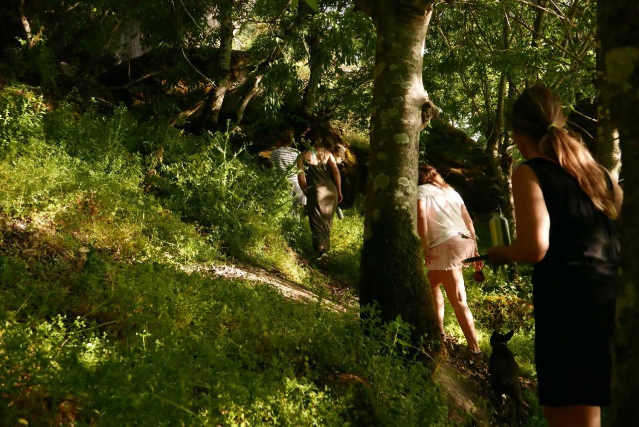 Quinta De Sao Pedro De Vir-A-Corca Em Monsanto Bed & Breakfast エクステリア 写真