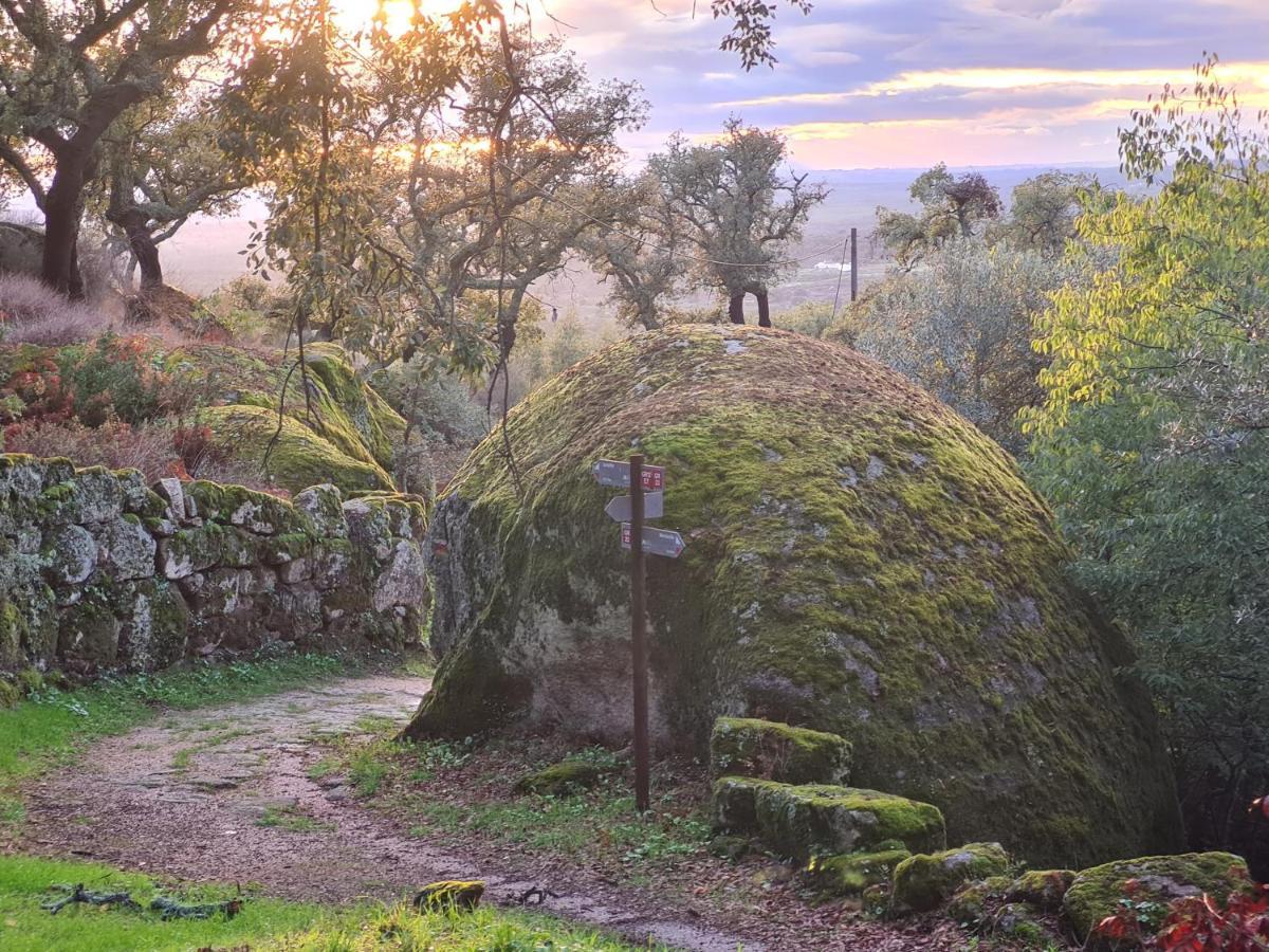 Quinta De Sao Pedro De Vir-A-Corca Em Monsanto Bed & Breakfast エクステリア 写真